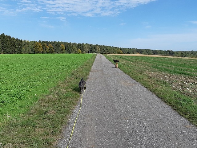 Im Herbst 2019 (7)
